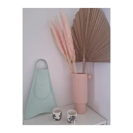 Apartamento Salty Coco Cotillo